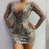 Shiny Sequin Dress