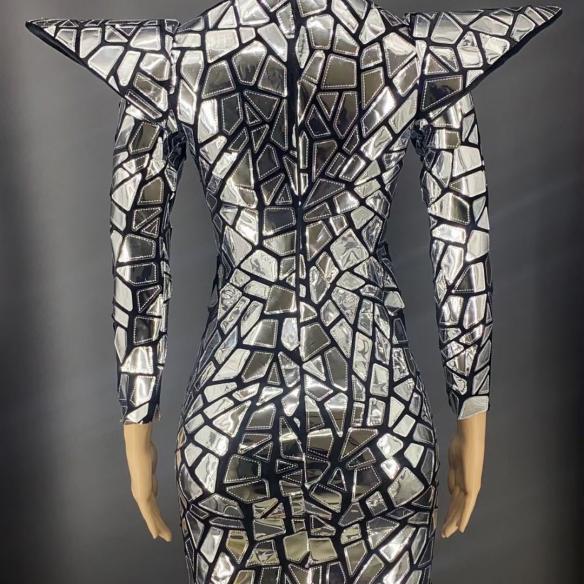 Sliver Glossy Dress