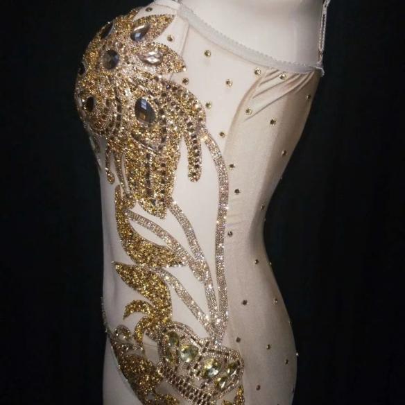 Gold Transparent Slip Leotard