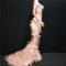 Pink Rhinestones Nude Feather Maxi Dress