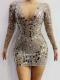 V Shape Sequin Dress