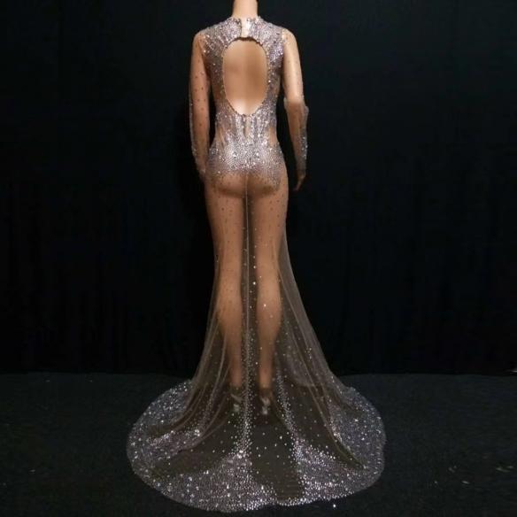 Transparent Fishtail Dress