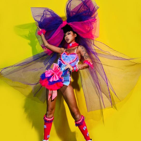 Pink Bow-knot  Mesh Leotard