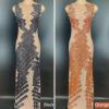Various Colors Rhinestone Dress