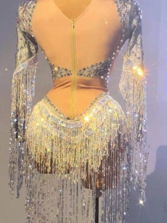 Sliver Fringed Sequin Leotard