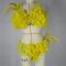 Various Colors Feather Bikini Suit