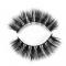 RayWigs-3D Lashes  JM05