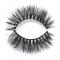 RayWigs-3D Lashes JM17