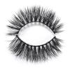 RayWigs-3D Lashes JM17