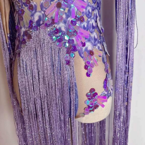 Purple sequin fringle leotard