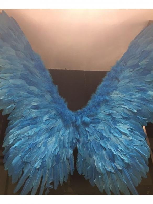 Sky Blue Goose Feather Wing