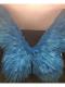 Sky Blue Goose Feather Wing