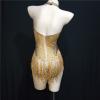 Gold Nude Rhinestones Fringe Leotard