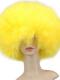 Colorful Rainbow Pride Afro Wig