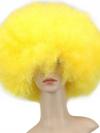Colorful Rainbow Pride Afro Wig