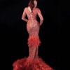 Orange Rhinestones Feather Dress