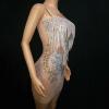 Silver Tassel Transparent Dress
