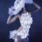 White Feather With Led Light Leotard (include hat)