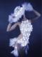 White Feather With Led Light Leotard (include hat)