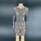 Grid Transparent Rhinestone Dress