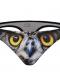 Animal Print Men’s Thong Swimwear (Various Designs)