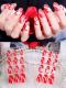 24 Sets Elaborate False Nail Art Tips 