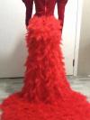 Custom red feahther gowns