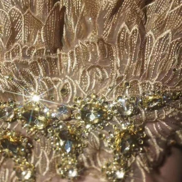Golden Feather Pattern & Rhinestone Dress