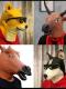 Funny Animal Mask