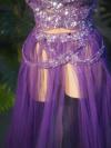 Purple Mesh Dress