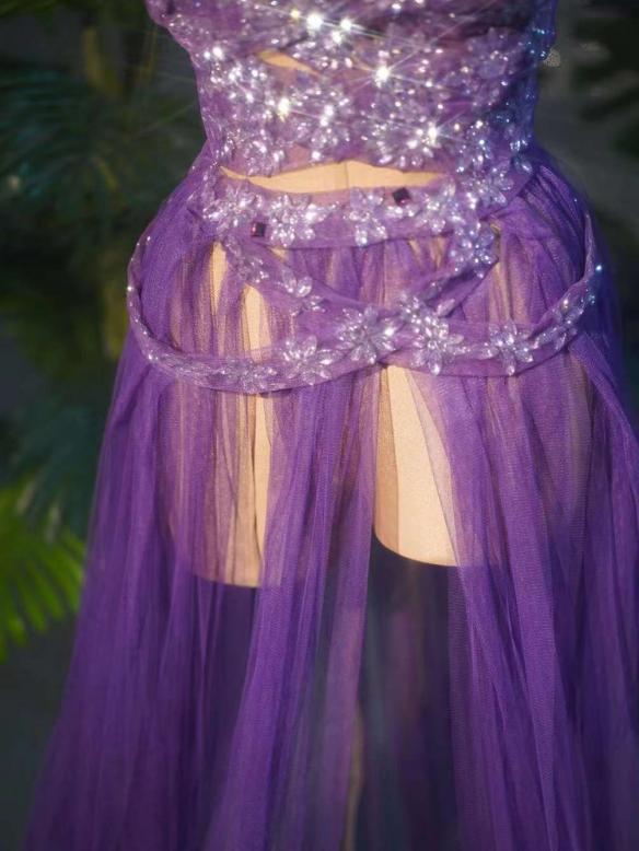 Purple Mesh Dress