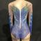 Blue Flame Leotard