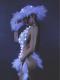 White Feather With Led Light Leotard (include hat)