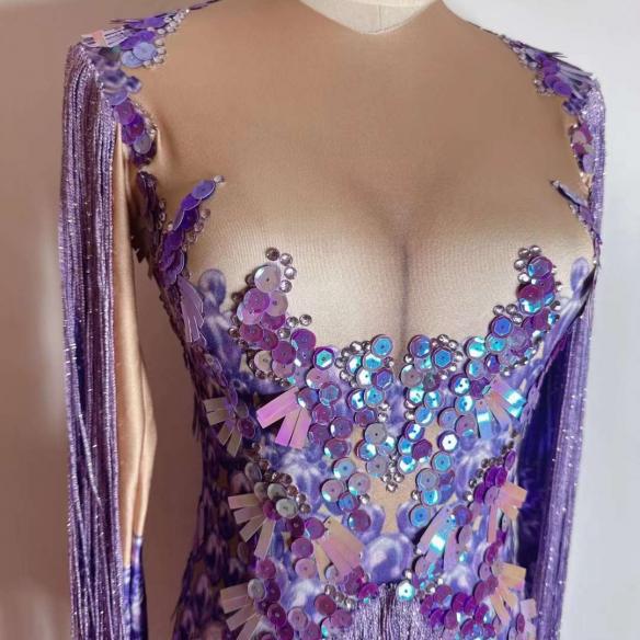 Purple sequin fringle leotard