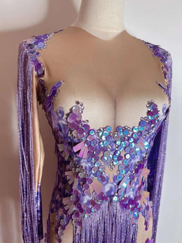 Purple sequin fringle leotard