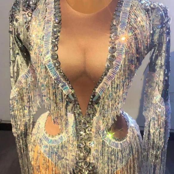 Sliver Fringed Sequin Leotard