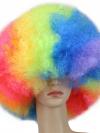 Colorful Rainbow Pride Afro Wig