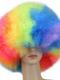 Colorful Rainbow Pride Afro Wig