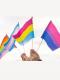 10 pcs Pride Flag