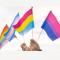 10 pcs Pride Flag