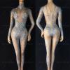 Silver Rhinestones Nude Bodysuit 