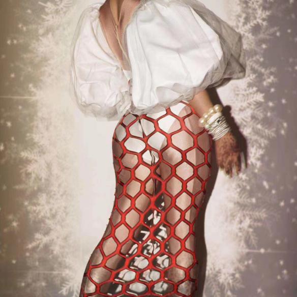 White Mesh Leotard With Cover Dress