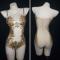 Gold Transparent Slip Leotard