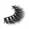 RayWigs-3D Lashes JM02