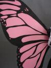 Pink Butterfly Wings