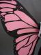 Pink Butterfly Wings