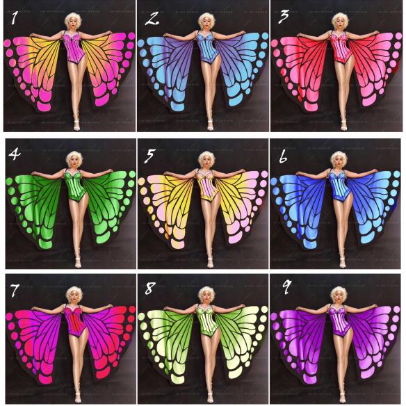 Multicolor Butterfly Corset