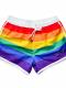 Rainbow Striped Beach Swim Shorts
