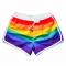 Rainbow Striped Beach Swim Shorts