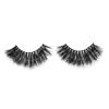 RayWigs-3D Lashes JM13